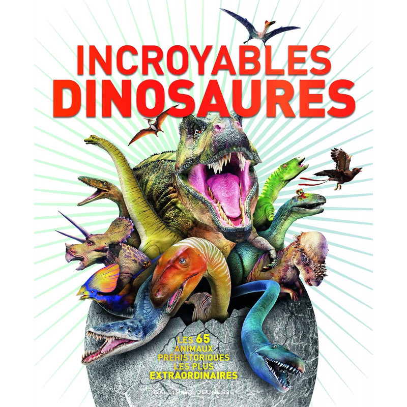 Drfeify Jouet d'oeufs de dinosaure Drfeify Oeufs de dinosaures en