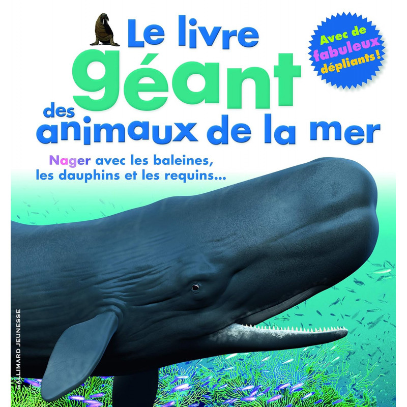 Papo - Figurine bébé baleine - Jouet animal de l'océan pour enfants à partir de 3 ans - Modèle mammifère marin peint à la main - Veau réaliste avec coloration noire et
