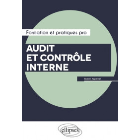 Audit et contrôle interne - Grand Format