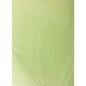 Chemise 24*32 vert claire ax-educ 150g - Vendu à l'unité