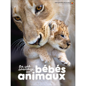 La vie sauvage des bébés animaux - Album