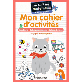 Je suis en maternelle chez les grands - Mon cahier d'activités - Album
