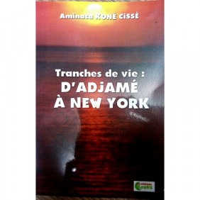 Tranches de vie: d'Adjamé à new york