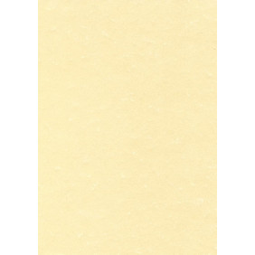 Parchemin végétal 1feuille - 21 X 29