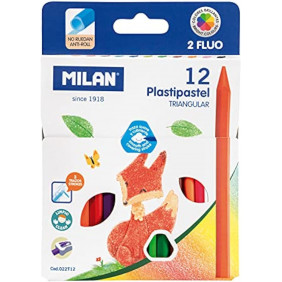 Boite de 12 triangle couleur plastipastel milan
