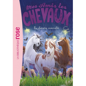 Mes amis les chevaux Tome 40 La clairière ensorcelée