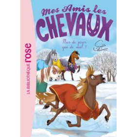 Mes amis les chevaux Tome 29 La blessure de Zéphyr