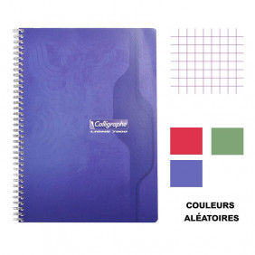 Cahier - A4 (21x29,7cm) - Petits carreaux - 100 pages - couverture en carton - à spirale - Clairefontaine - Calligraphe