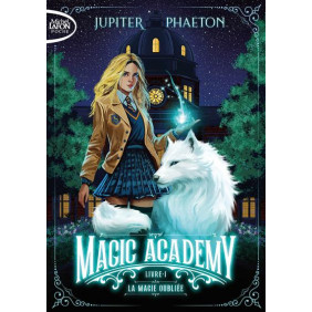 Magic Academy Tome 1 La magie oubliée