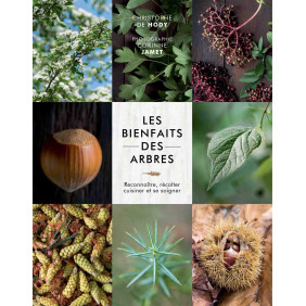 Les bienfaits des arbres. Reconnaître, récolter, cuisiner et se soigner