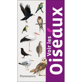 Voir les champignons