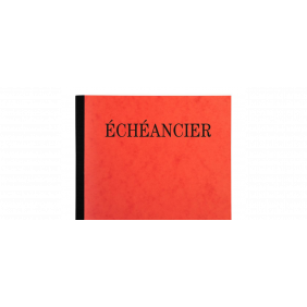 EXACOMPTA Piqûre 21x19cm échéancier tracé journal 80 pages - Couleurs assorties