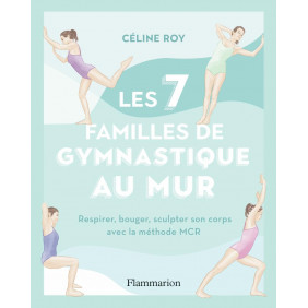 Les 7 familles de gymnastique au mur