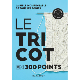 Le tricot en 300 points