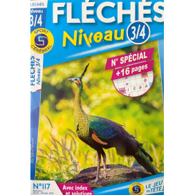 Fléchés niveau 3/4