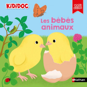 Livre documentaire animé - Dès 3 ans