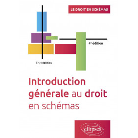 Introduction générale au droit en schémas 4e édition