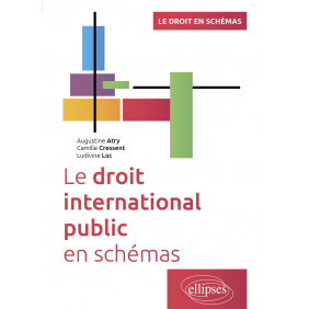 Le droit international public en schémas