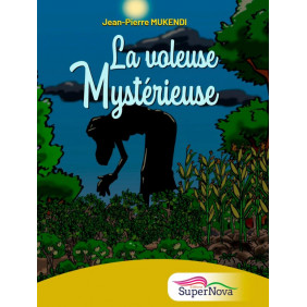 La voleuse mystérieuse - Dès 7 ans