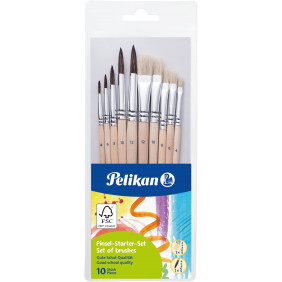 Ensemble de 10 brosses (pinceaux) start