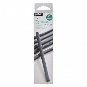 Boite de 6 fusains tendre 6-8mm
