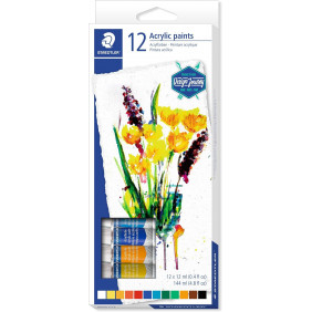 Peinture Acrylique 12 pieces