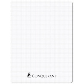 Cahier agrafe 24X32 192P 5*5 incolore polypro