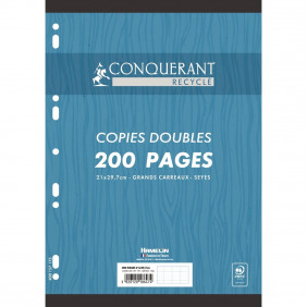 Copies doubles perforées A4 90g 200P seyès