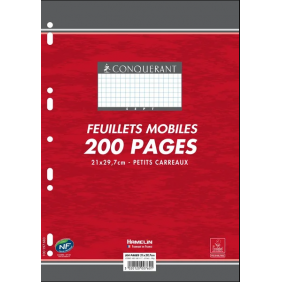Feuilles simples - Format A4 - petit carreau - 90 gr - 200 pages