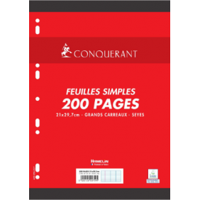 Feuilles simples A4 - 90g - seyes 200P