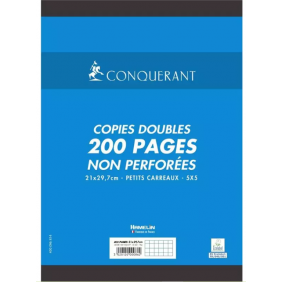 Copies doubles A4 non perforées 200P 5x5
