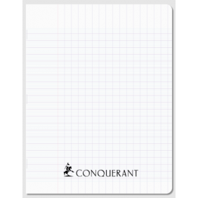 Cahier piqué 17x22, 96p 70g, Séyès, incolore
