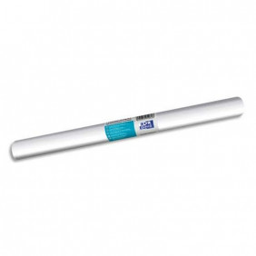 Rouleau adhésif 45*300 incolore