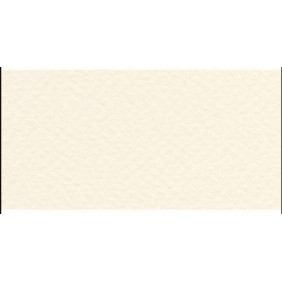 Feuille dessin 70*100 160G ivoire