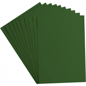 Feuille dessin 70*100 160G vert fonce