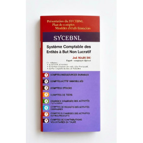 Système comptable des entités à but lucratifs