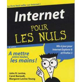 INTERNET 16ED POUR LES NULS