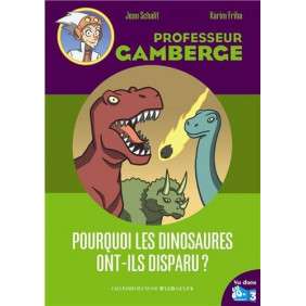 PROFESSEUR GAMBERGE