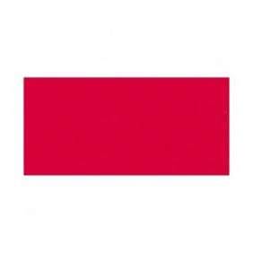 FEUILLE MI TEINTE ROUGE TE DESSIN 160G 50*65