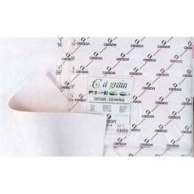 "DESSIN C A GRAIN 180GR 50*65   FEUILLE        0021-183"