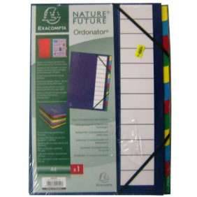 TRIEUR ORDONATEUR COUVERTURE RIGIDE 12 COMPARTIMENTS BLEU