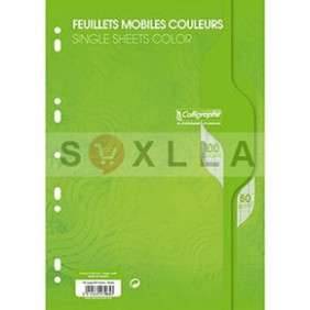 FEUILLE MOBILE A4 100 PAGES VERT SEYES