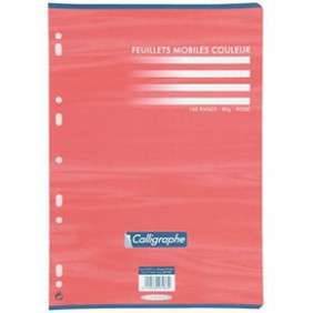 FEUILLE MOBILE A4 100 PAGES VERT ROSE