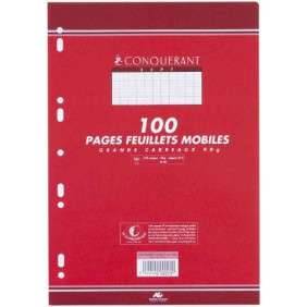 FEUILLE MOBILE A-P 17*22 ROSE 70GRS PAQUET 50 SEYES