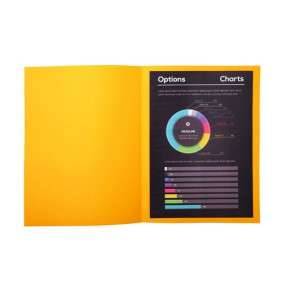 CHEMISE 24*32 BAHIA 220 CLEMENTINE