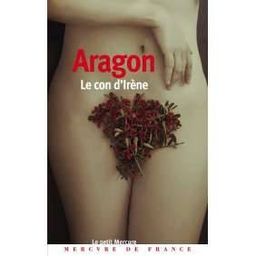 Le con d'Irène - Poche