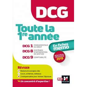 DCG : TOUTE LA 1ERE ANNEE DU DCG 1, 8, 9 EN FICHES - REVISION