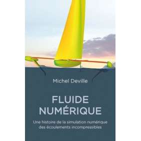 Fluide numérique - Une histoire de la simulation numérique des écoulements incompressibles