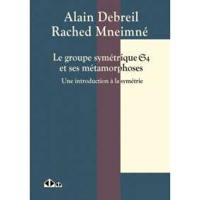 Le groupe symétrique S_4 et ses métamorphoses - Une introduction à la symétrie