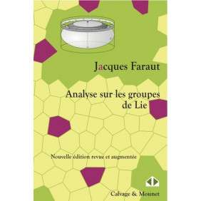 Analyse sur les groupes de Lie - Une introduction